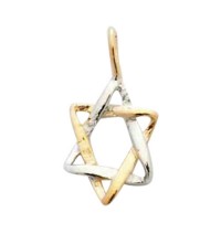  Gold Filled Miniature Two Tone Star of David Pendant